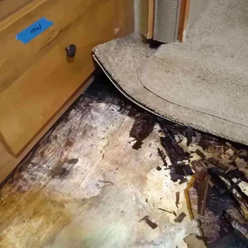 Wood Floor Water Damage in Saint Paul Park, MN